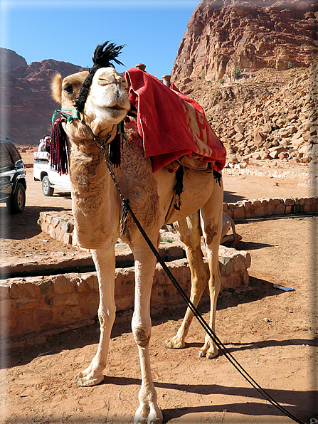 foto Wadi Rum